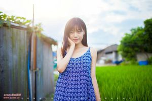 ������ʹ��������������ʲô����