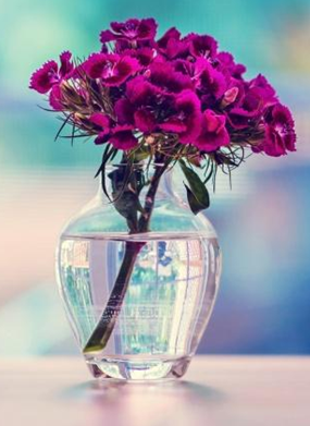 �����¾��Ƴ�10��û��������������